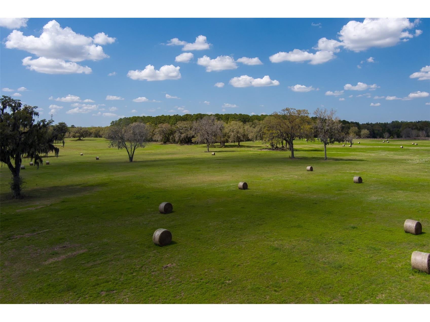 1100 SW 110th Avenue Ocala FL 34481 OM720691 image1