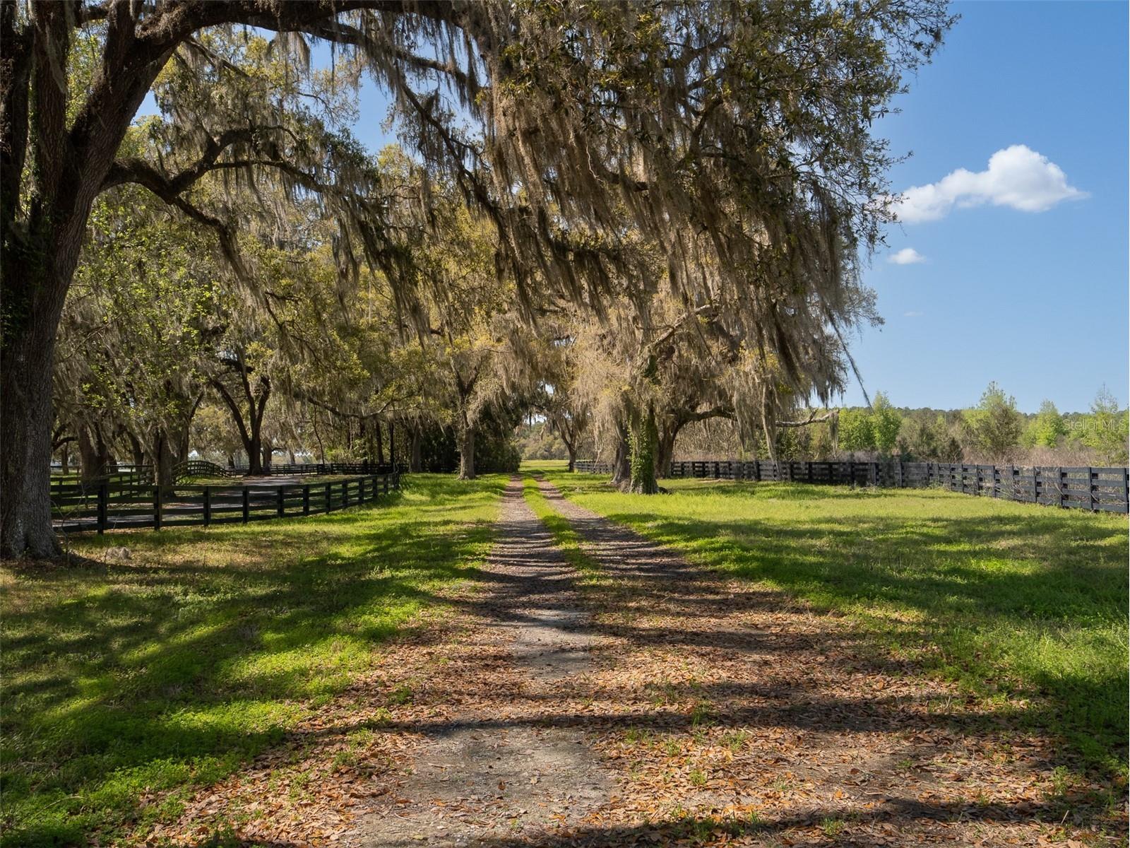1100 SW 110th Avenue Ocala FL 34481 OM720691 image3