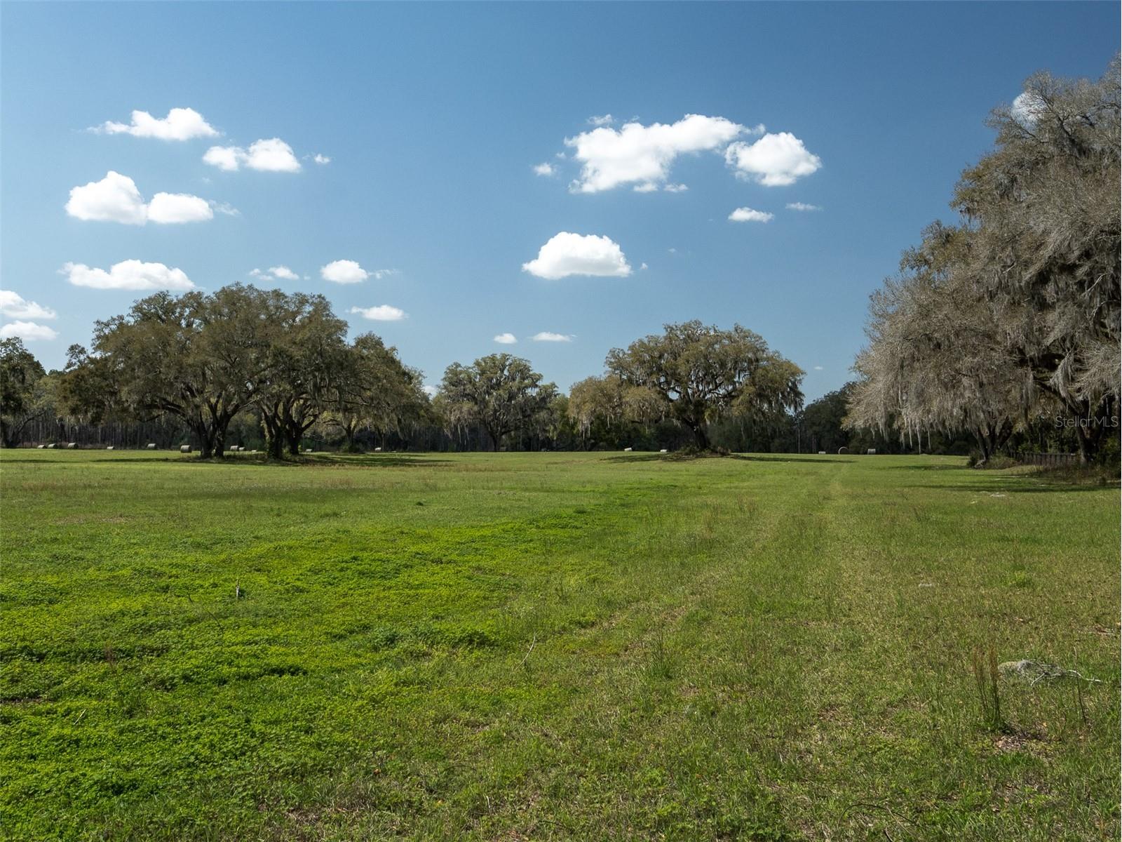 1100 SW 110th Avenue Ocala FL 34481 OM720691 image6
