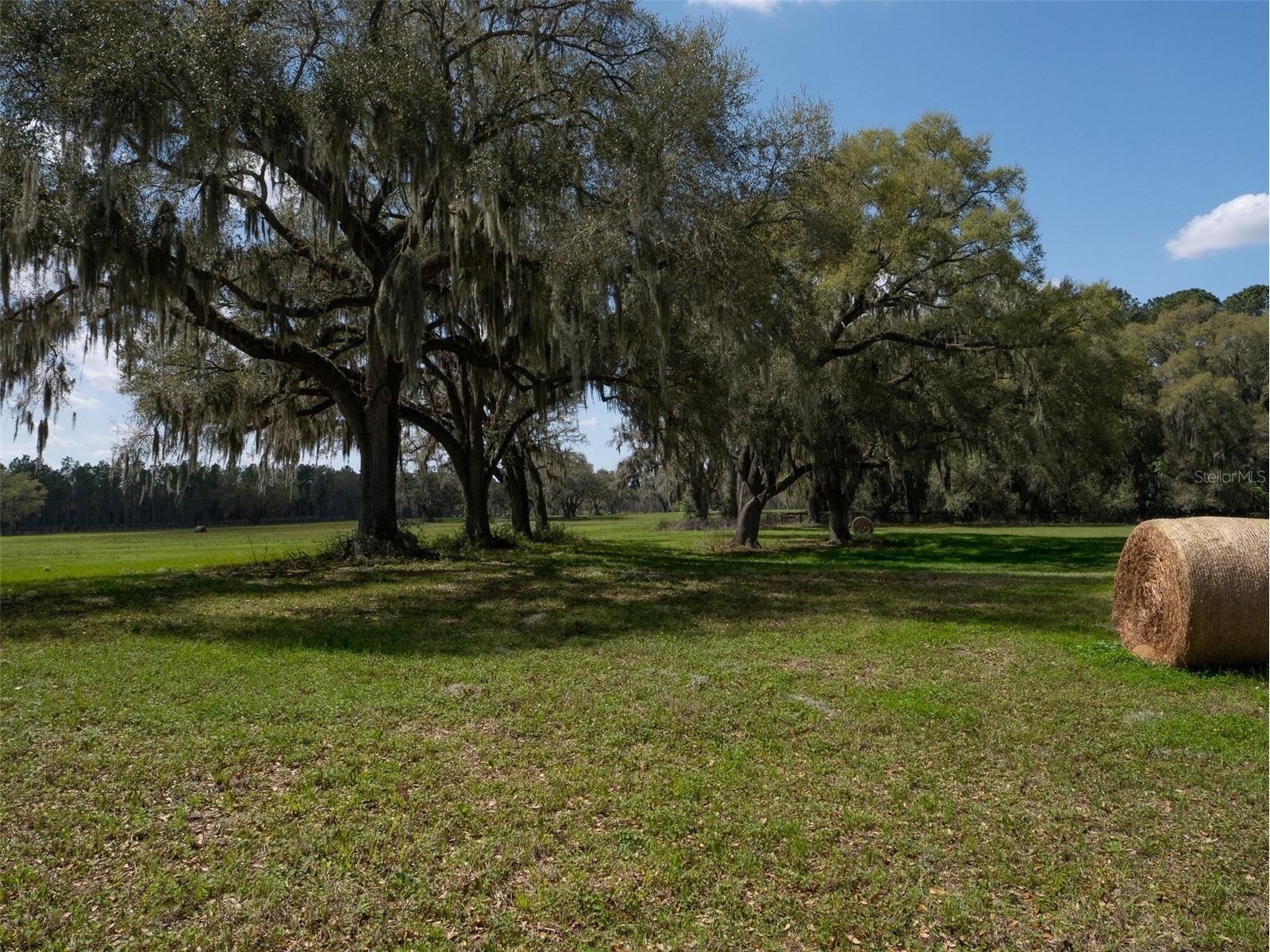 1100 SW 110th Avenue Ocala FL 34481 OM720691 image8