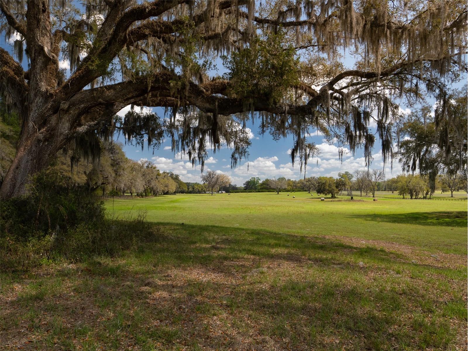 1100 SW 110th Avenue Ocala FL 34481 OM720691 image9