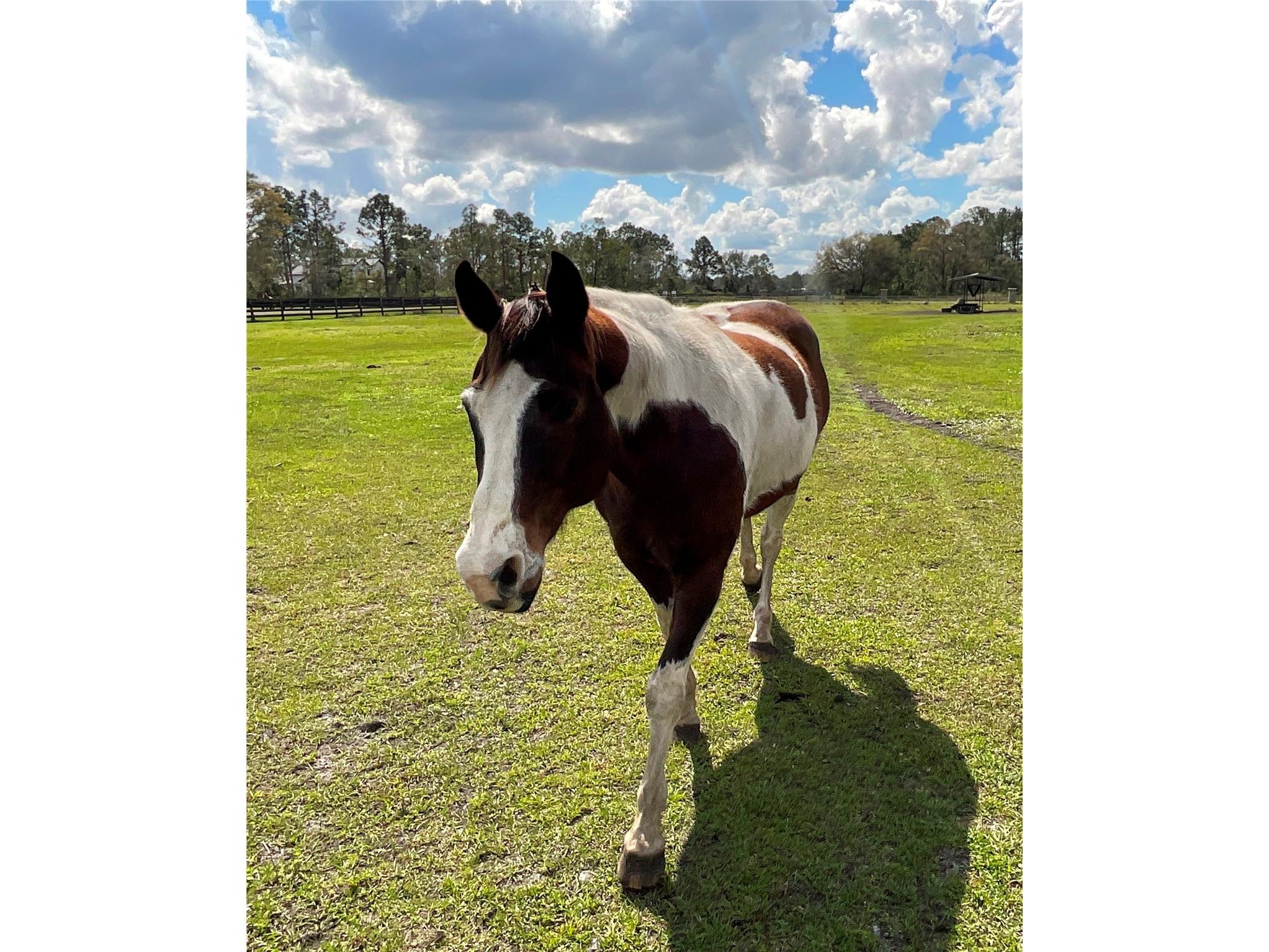 1100 Tallacoe Trail New Smyrna Beach FL 32168 V4947262 image30