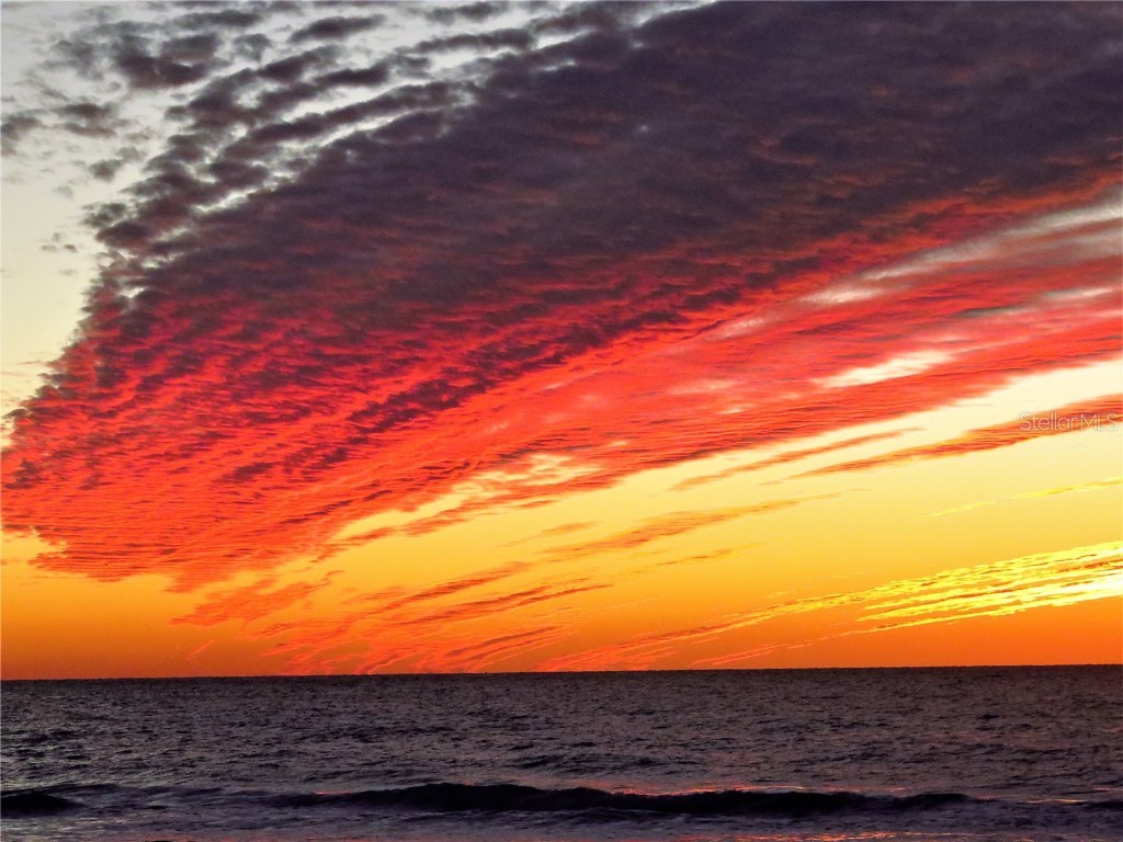 1100 Tarpon Center Drive #503 5C Venice FL 34285 N6139184 image38