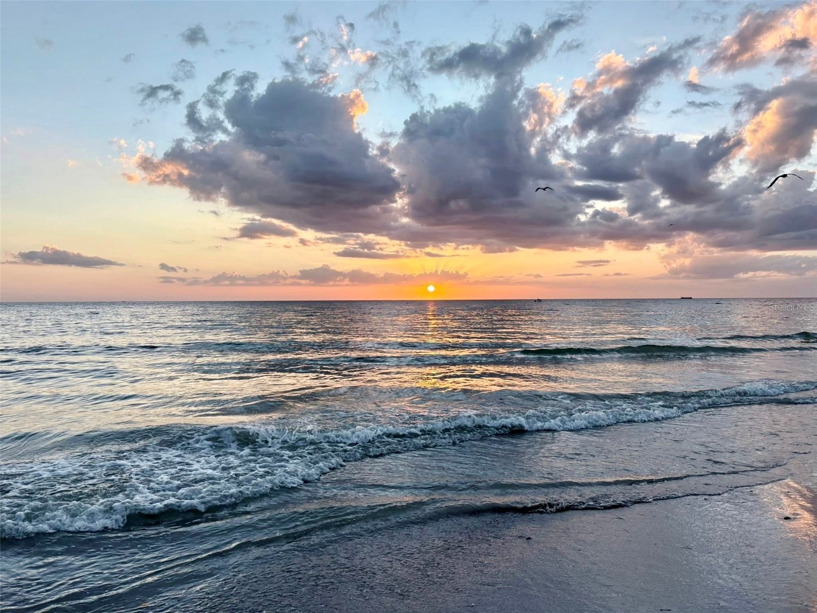 11000 Gulf Boulevard #603 Treasure Island FL 33706 TB8505862 image45