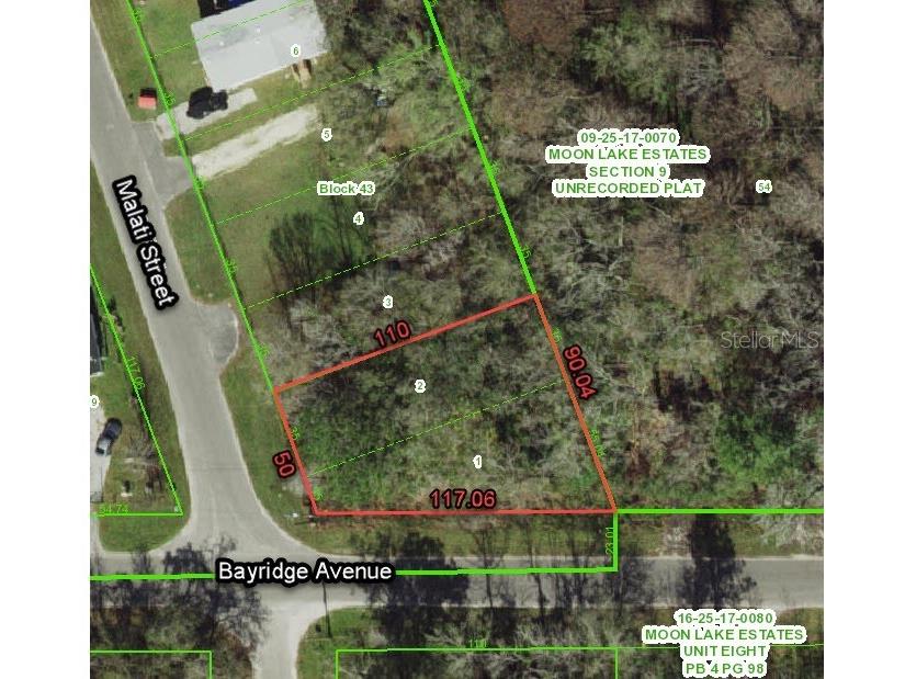 11000 Malati Street New Port Richey FL 34654 O6399379 image5