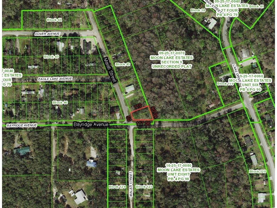 11000 Malati Street New Port Richey FL 34654 O6399379 image9