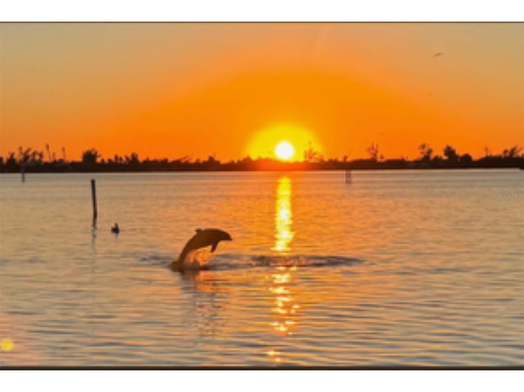 11000 Placida Road #1601 Placida FL 33946 D6145106 image66
