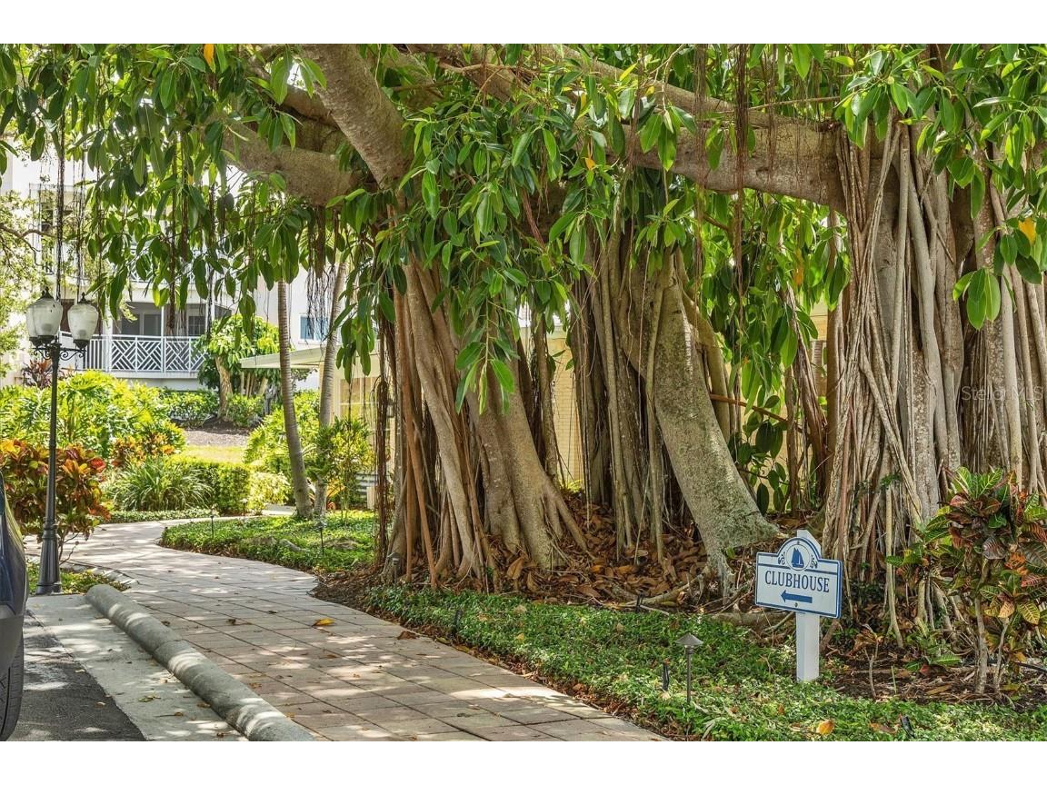 11000 Placida Road #1604 Placida FL 33946 D6145115 image34