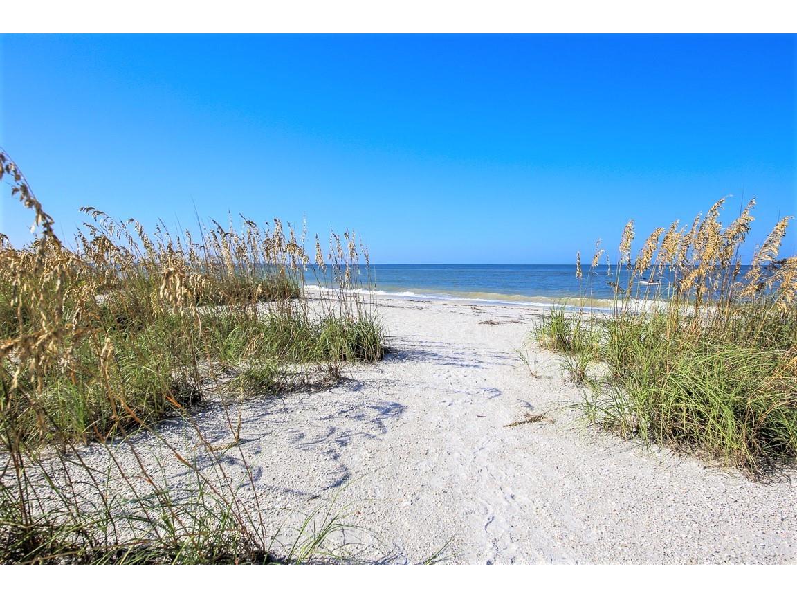 11000 Placida Road #2202 Placida FL 33946 D6145089 image49