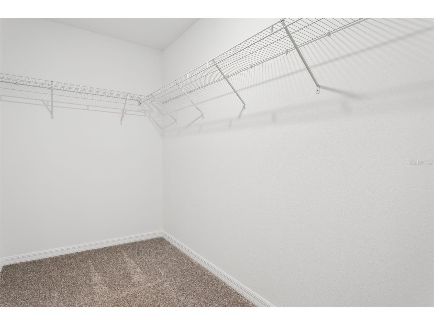 11000 Radiant Shore Loop San Antonio FL 33576 TB8508772 image21