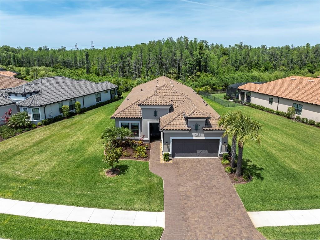 11001 Calluna Drive Odessa FL 33556 W7863765 image1