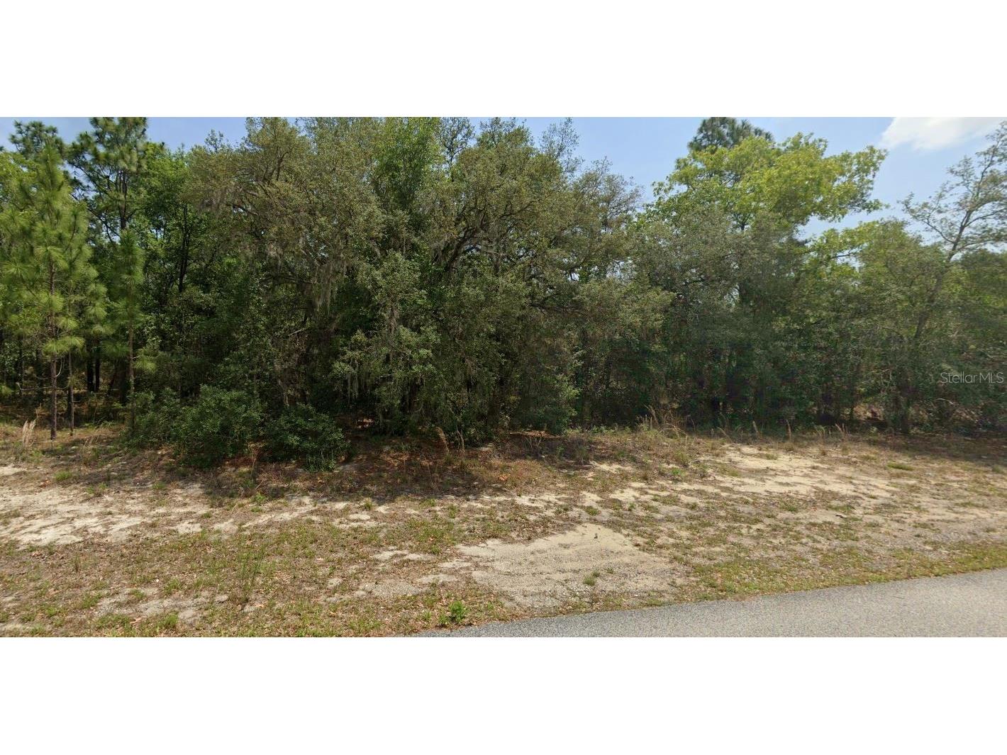 11001 N Harriet Way Citrus Springs FL 34434 T3533860 image1