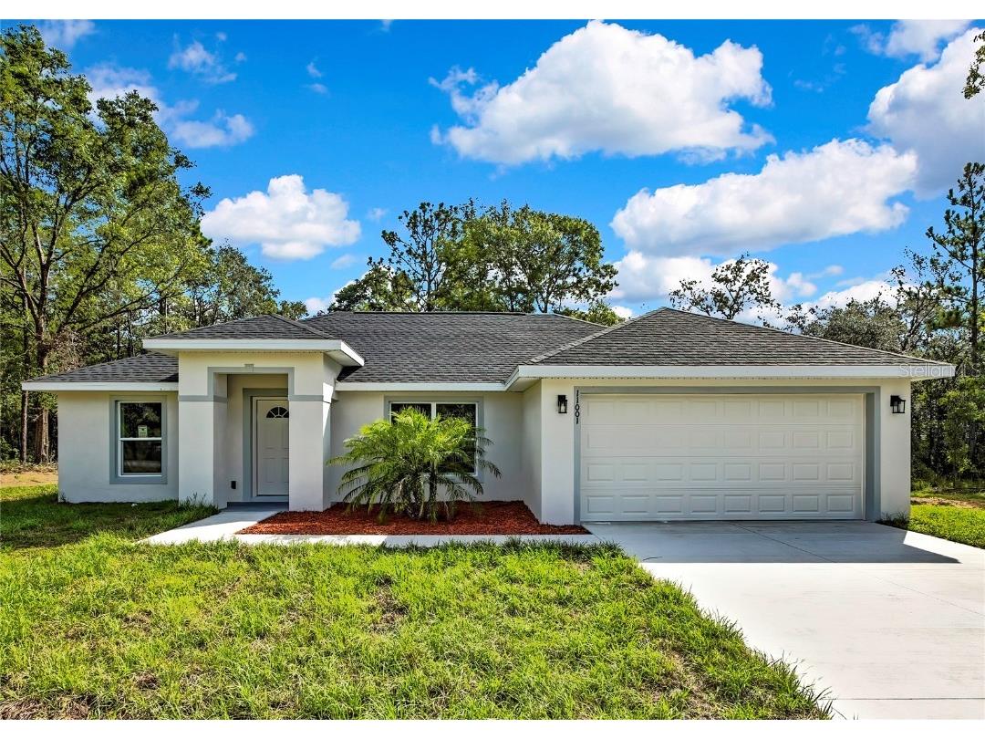 11001 N Harriet Way Citrus Springs FL 34434 G5098888 image1