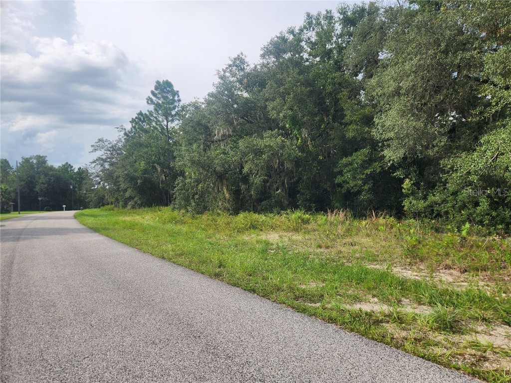 11001 N Harriet Way Citrus Springs FL 34434 OM682791 image1