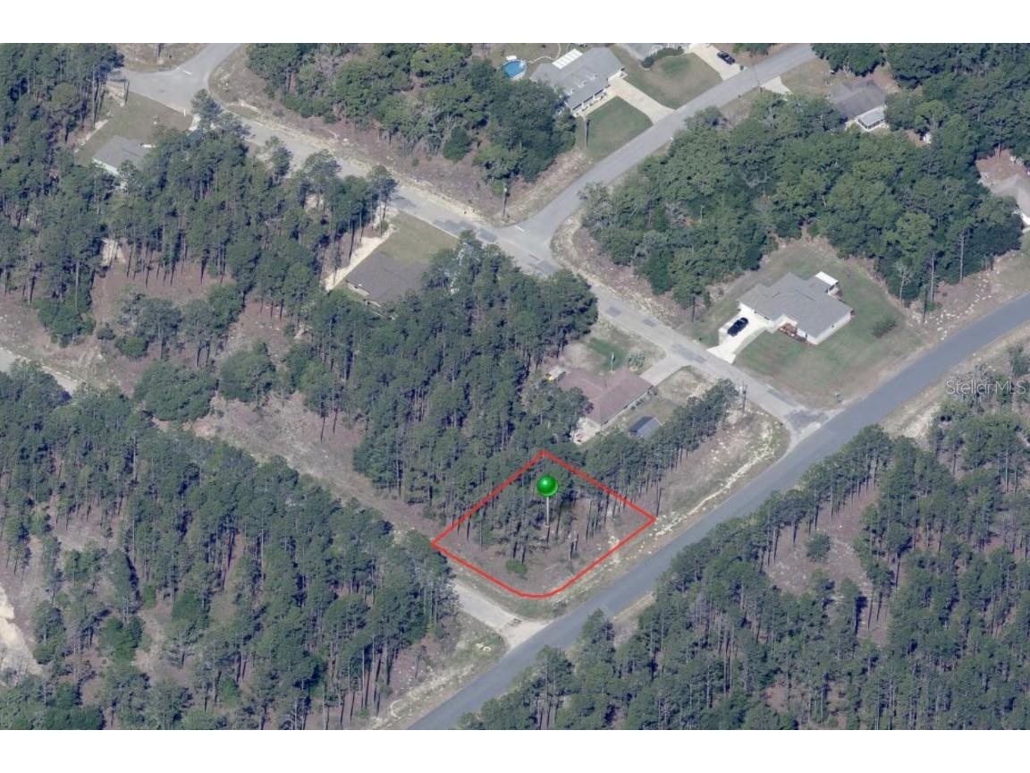 11001 N Letterwood Way Citrus Springs FL 34434 OM696778 image1