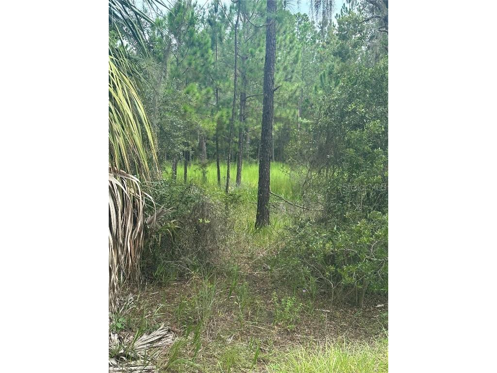 11001 W Dublin Street Crystal River FL 34428 T3466641 image1