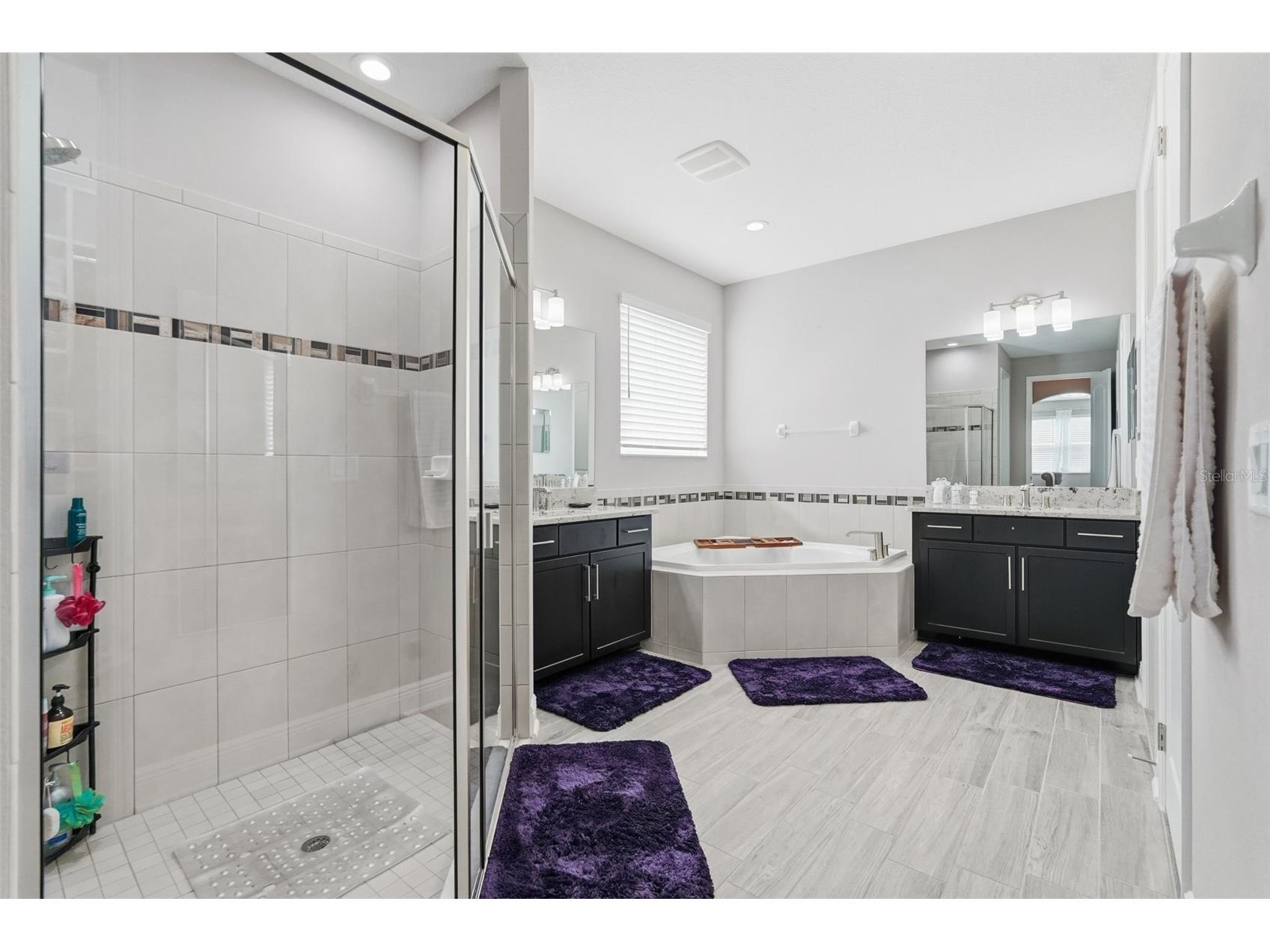 11002 Sundrift Drive Tampa FL 33647 TB8467722 image27