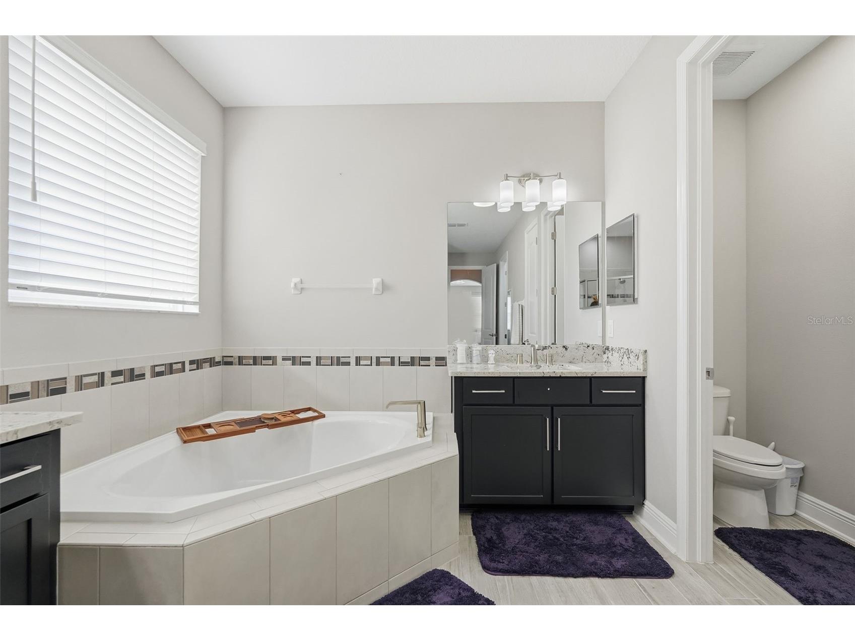 11002 Sundrift Drive Tampa FL 33647 TB8467722 image28