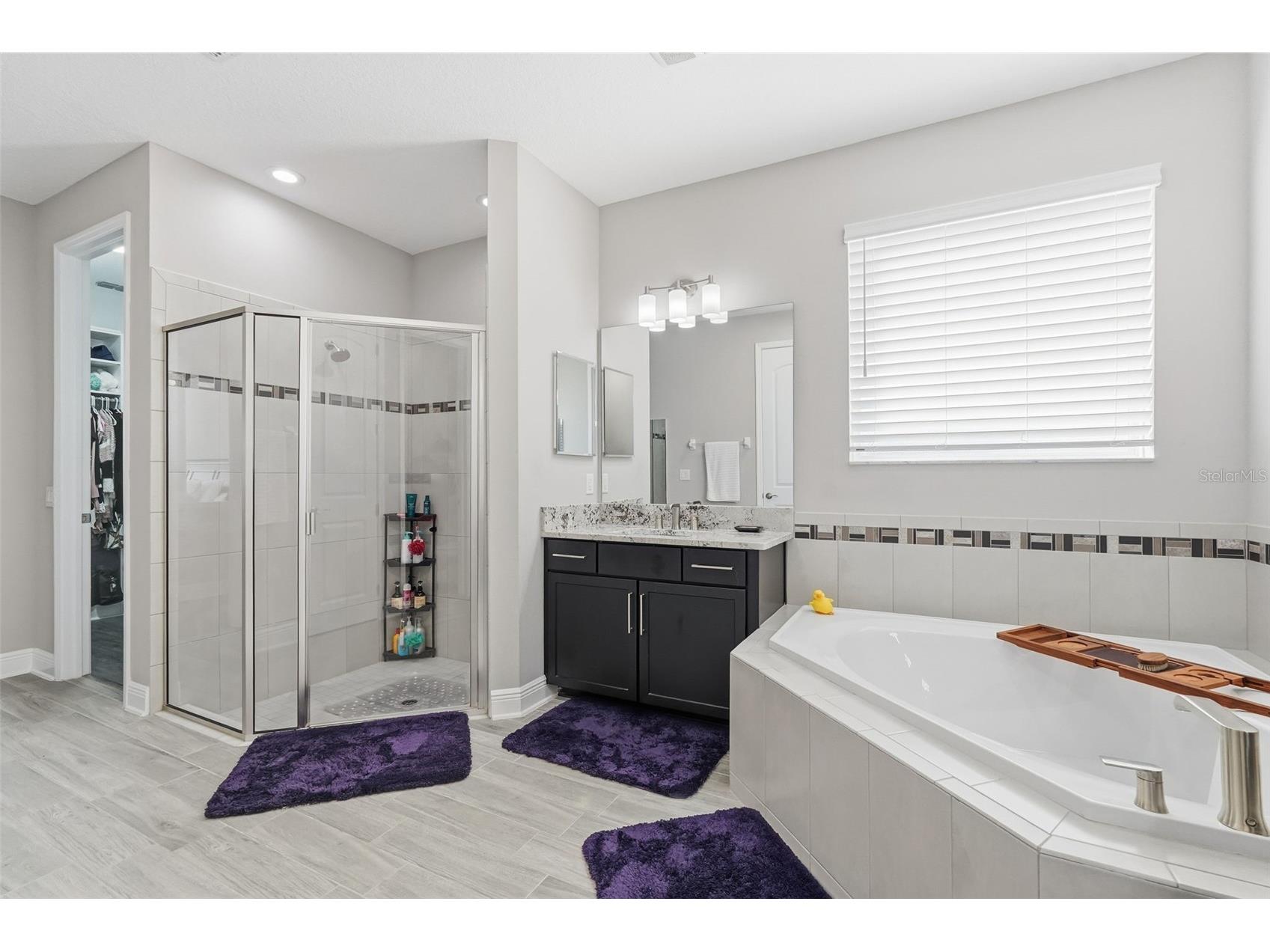 11002 Sundrift Drive Tampa FL 33647 TB8467722 image29