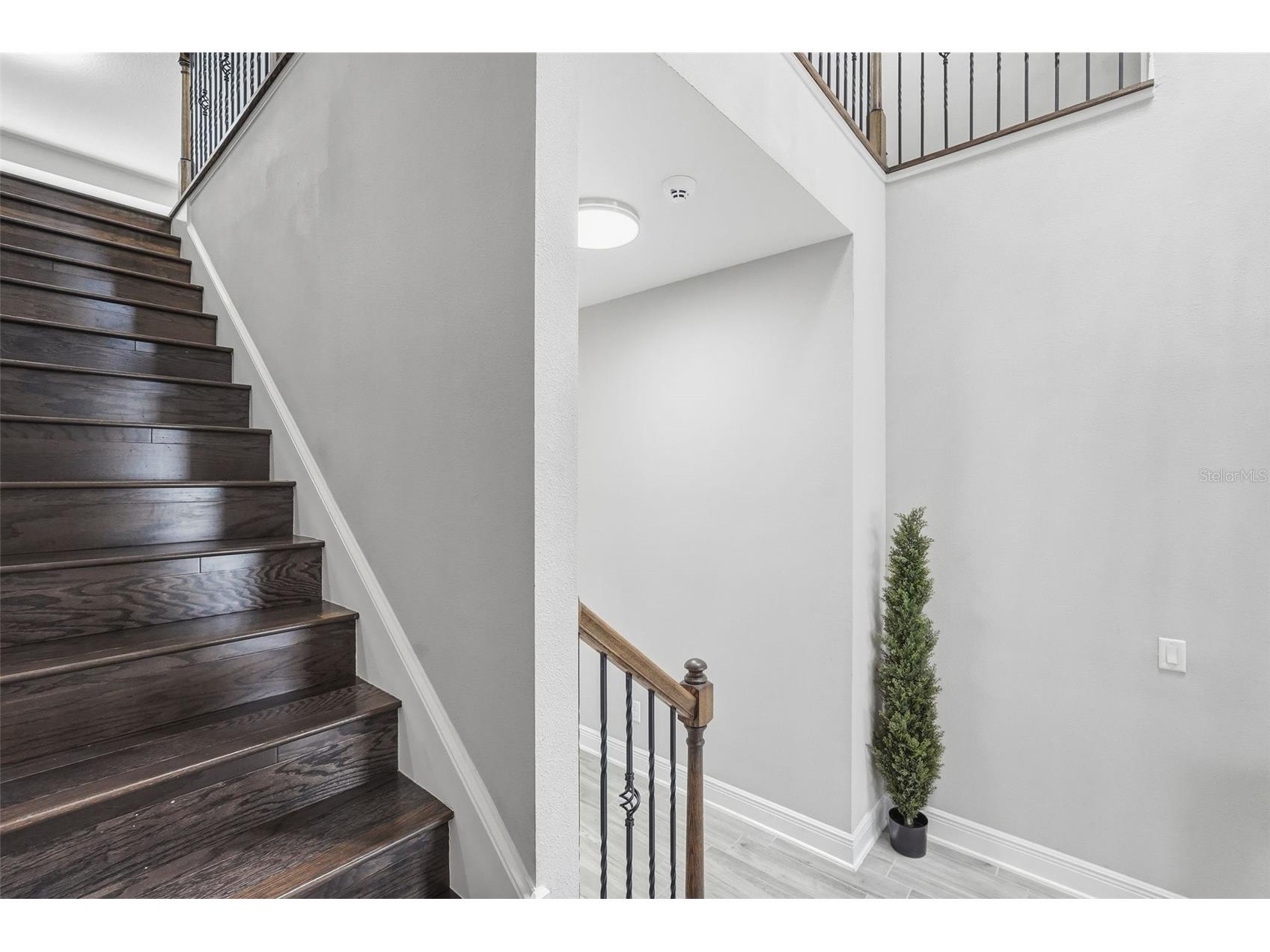 11002 Sundrift Drive Tampa FL 33647 TB8467722 image33