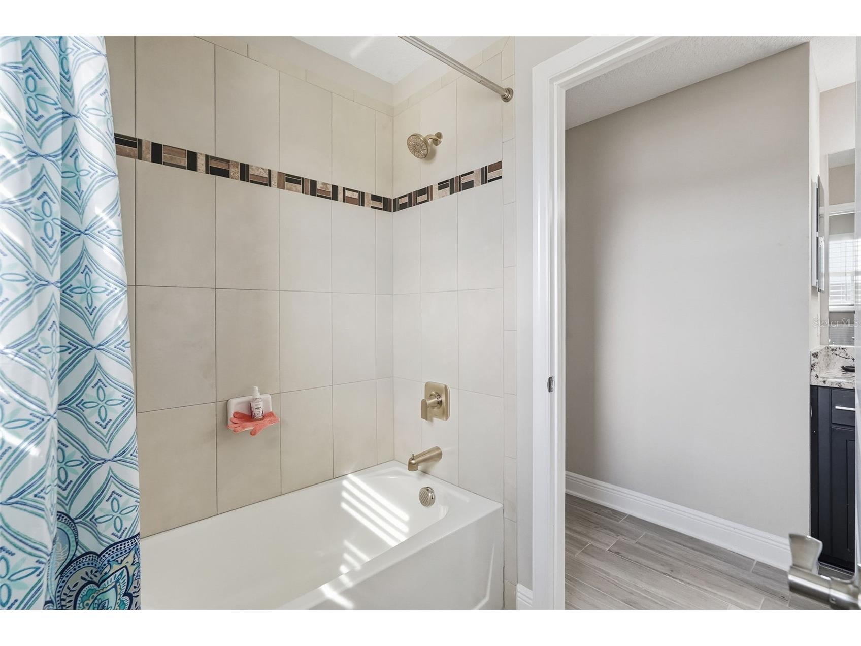 11002 Sundrift Drive Tampa FL 33647 TB8467722 image41