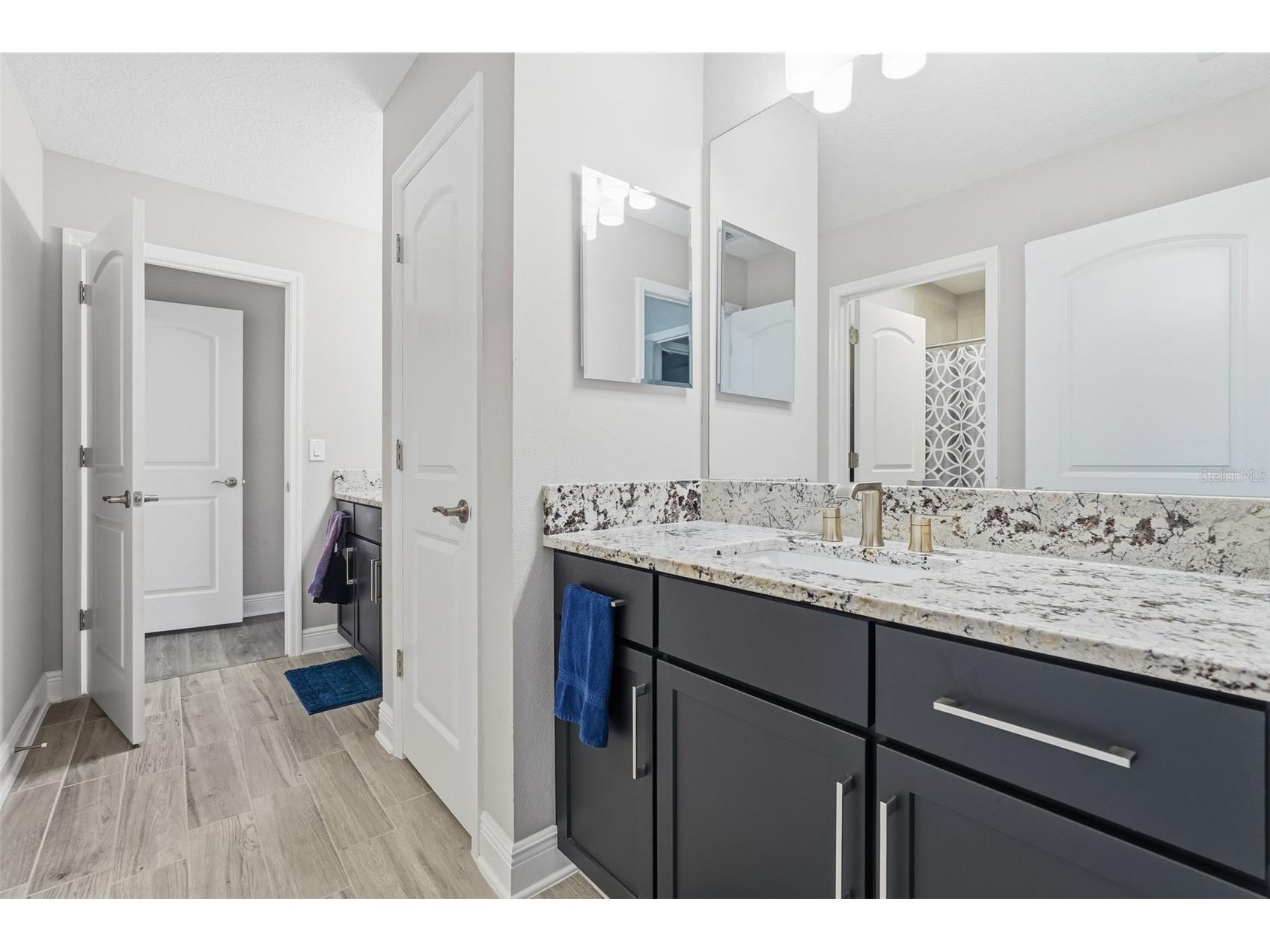 11002 Sundrift Drive Tampa FL 33647 TB8467722 image57