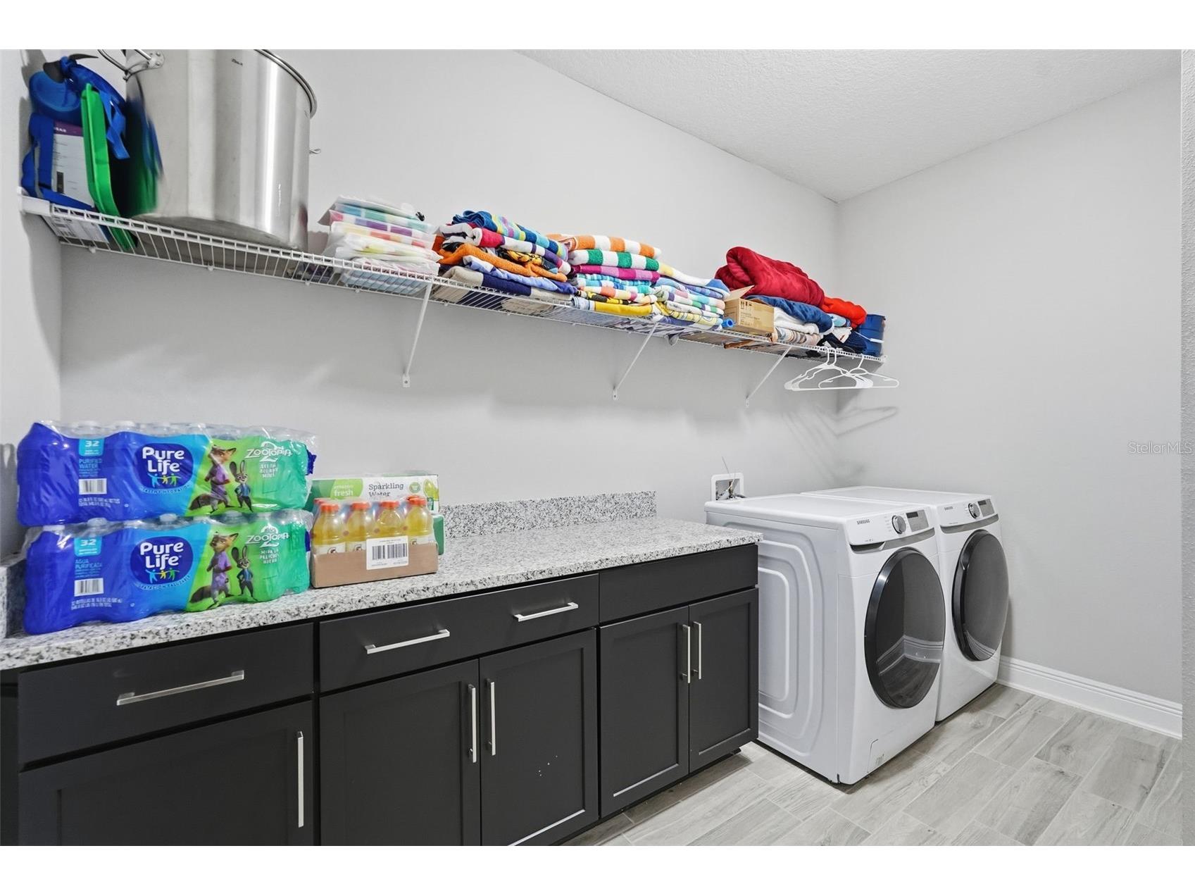 11002 Sundrift Drive Tampa FL 33647 TB8467722 image65