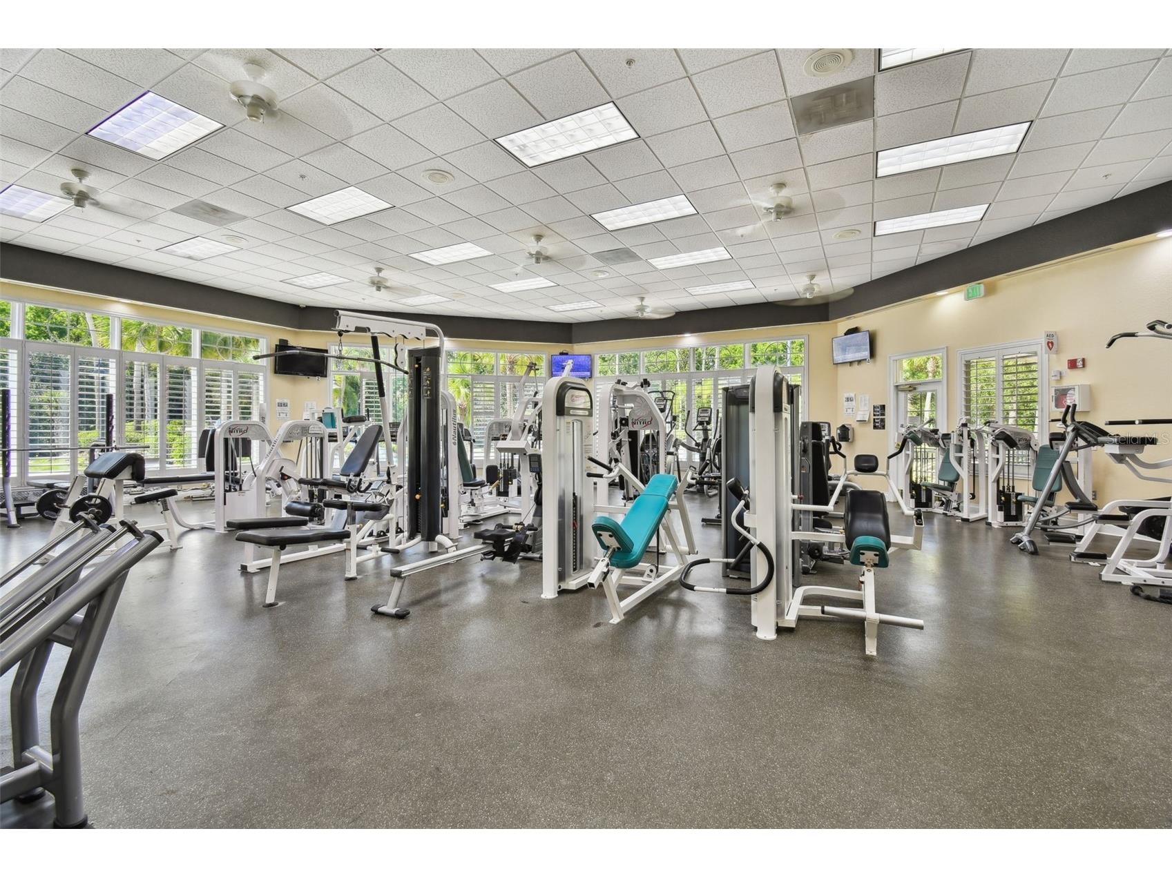 11002 Sundrift Drive Tampa FL 33647 TB8467722 image74