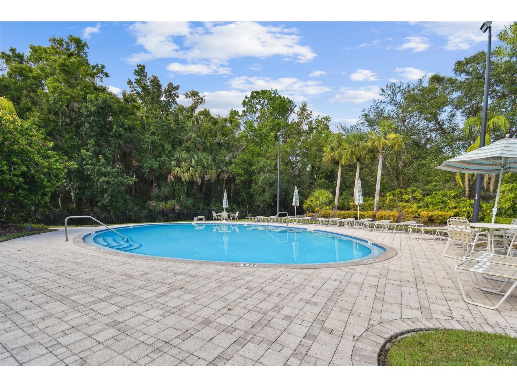 11002 Sundrift Drive Tampa FL 33647 TB8467722 image81