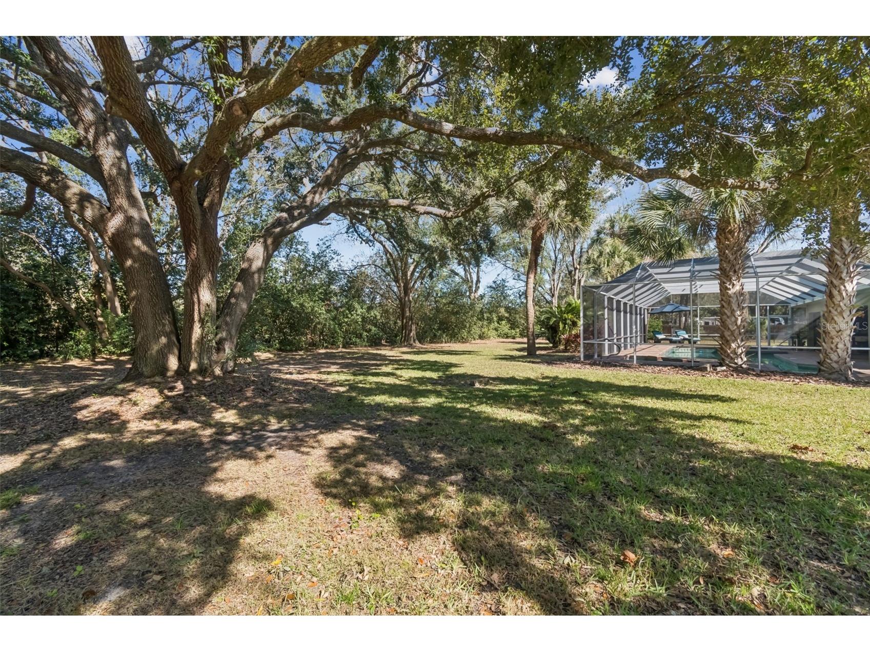 11003 Nest Court Odessa FL 33556 W7882195 image43