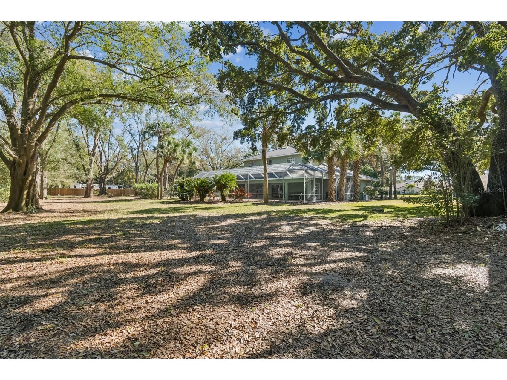 11003 Nest Court Odessa FL 33556 W7882195 image44