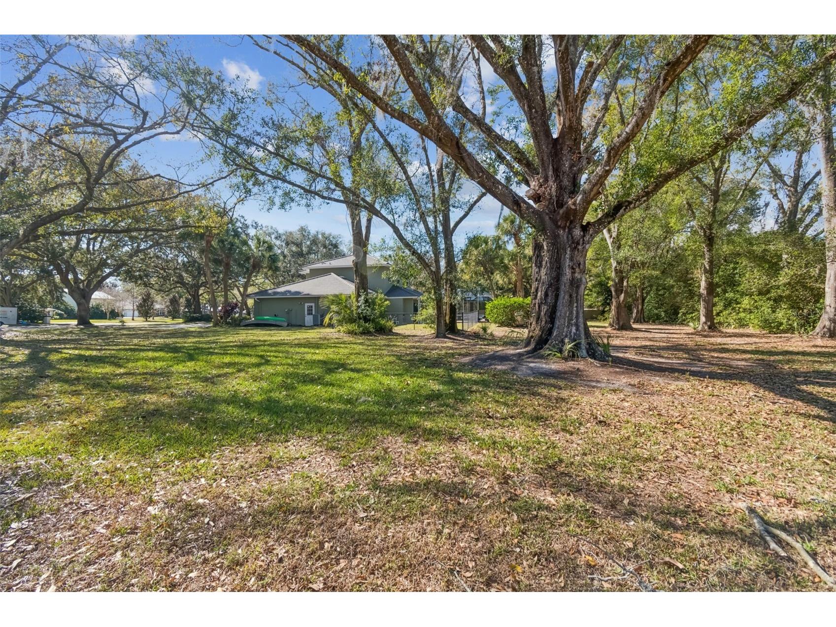 11003 Nest Court Odessa FL 33556 W7882195 image47