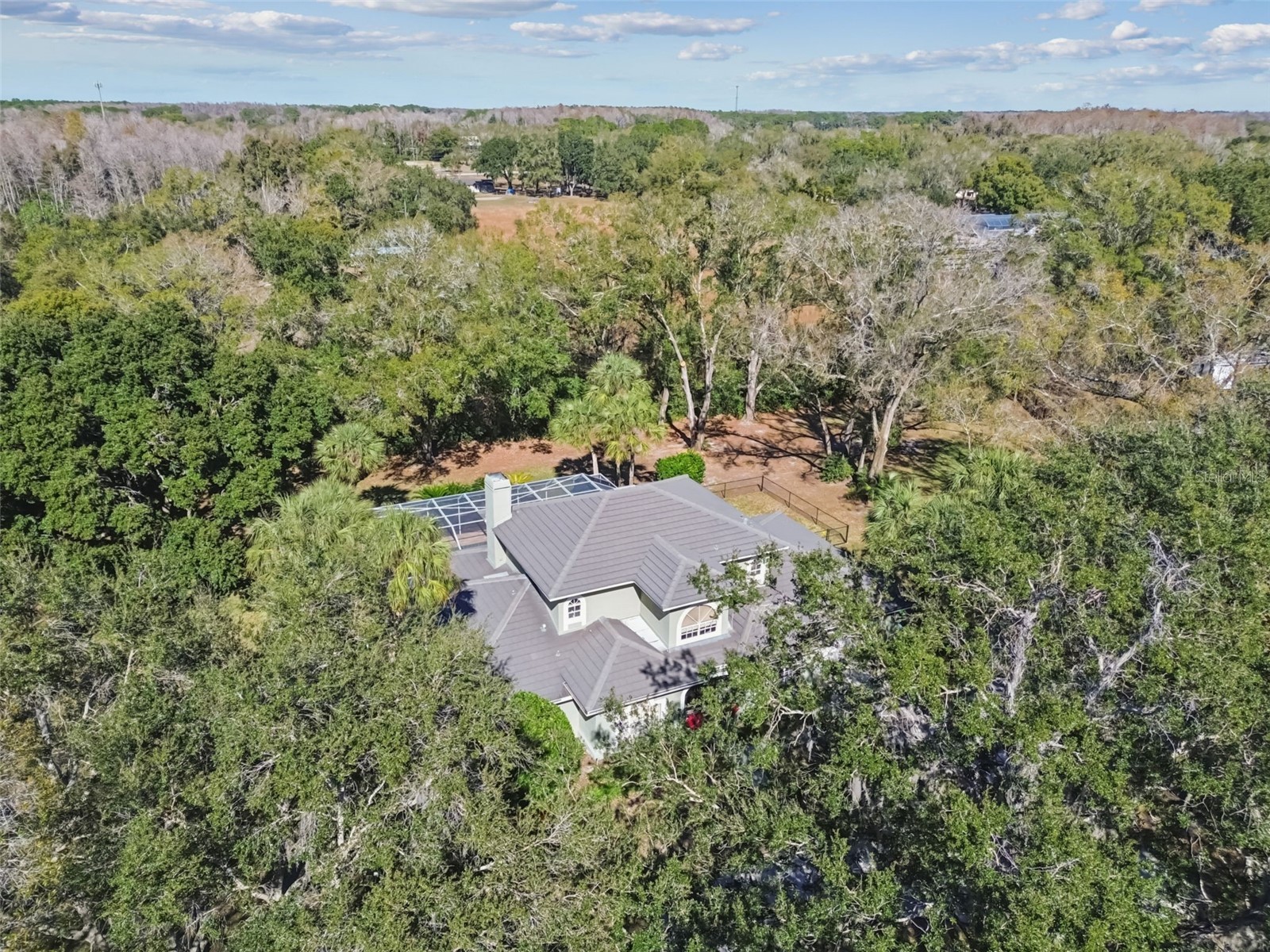 11003 Nest Court Odessa FL 33556 W7882195 image49