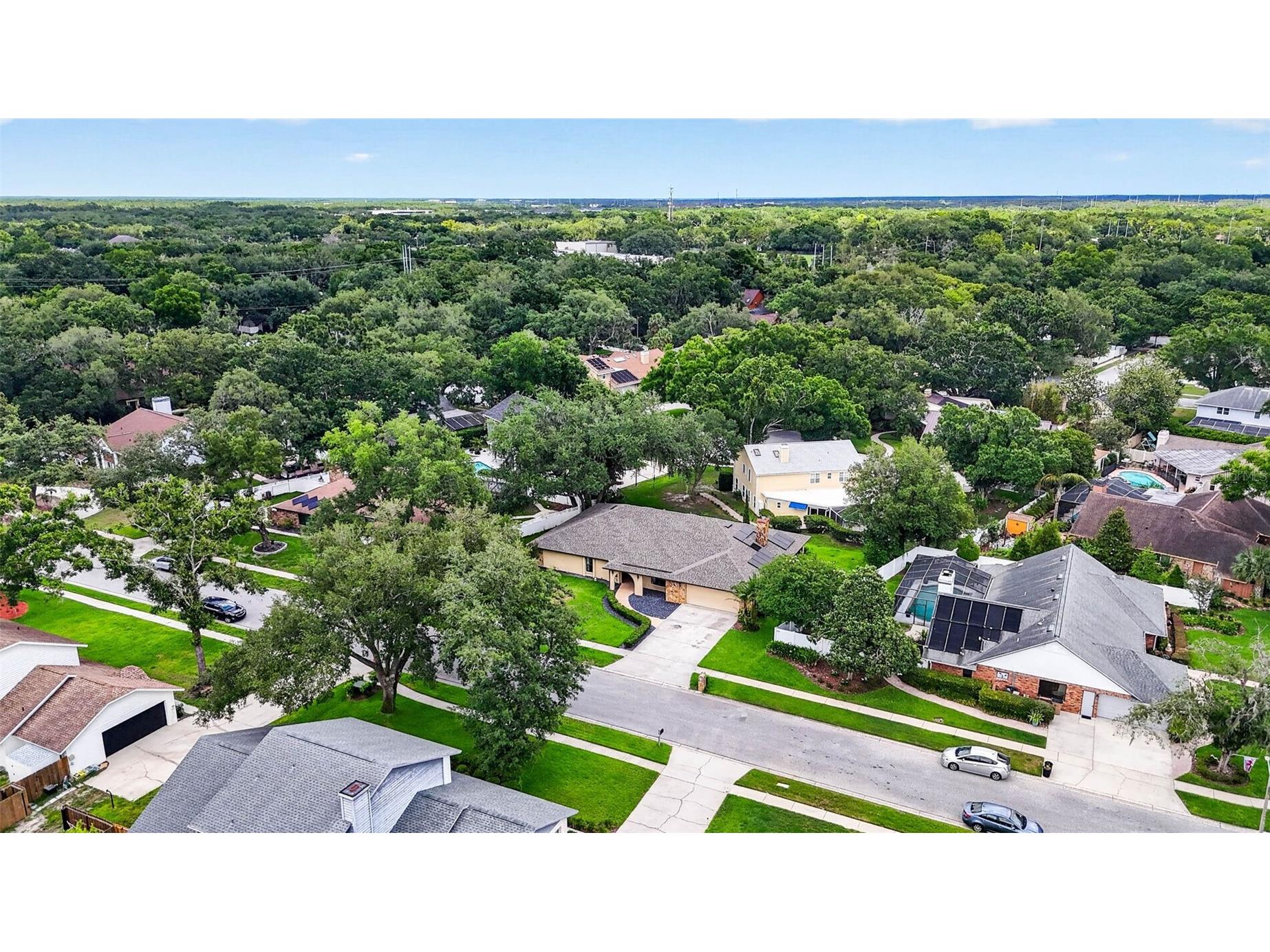 11004 Theresa Arbor Drive Temple Terrace FL 33617 TB8510376 image62