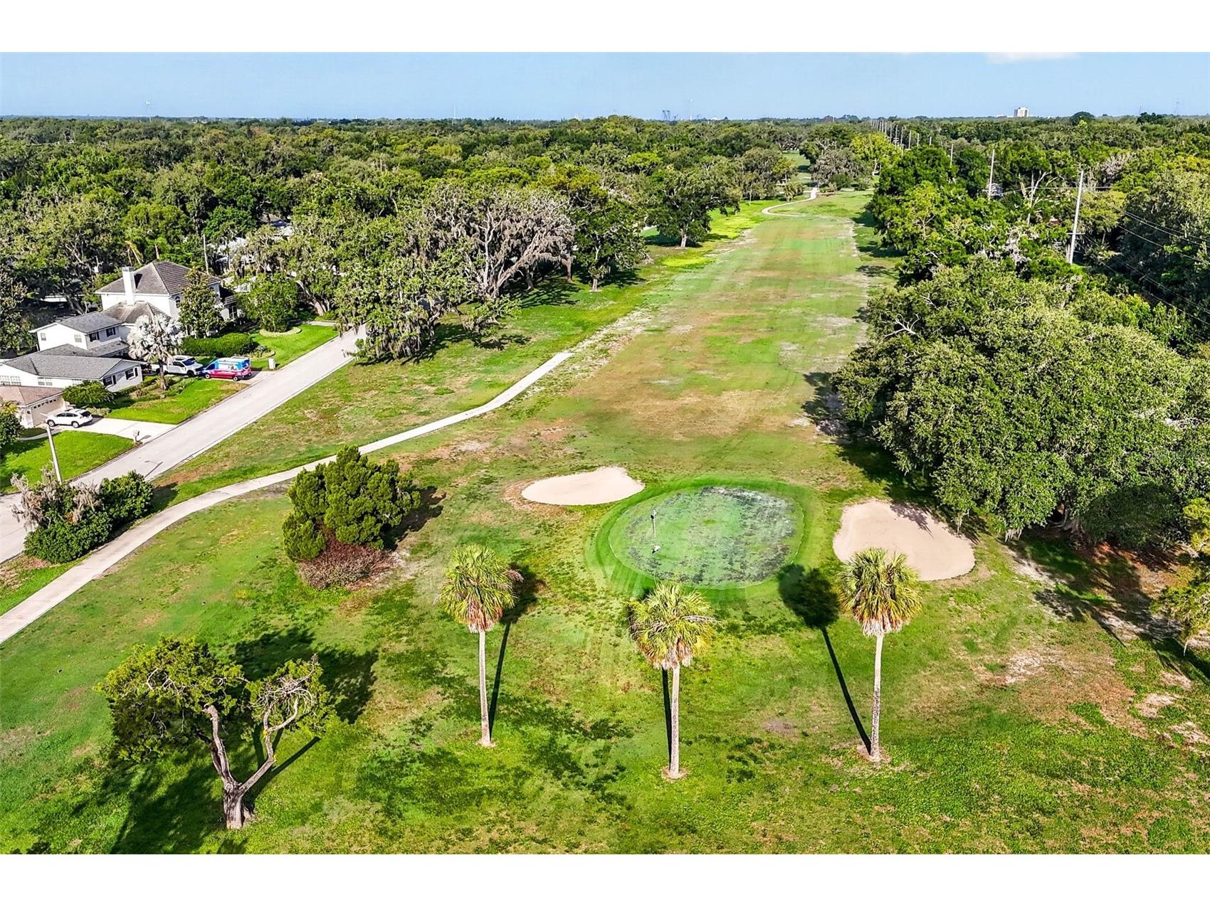 11004 Theresa Arbor Drive Temple Terrace FL 33617 TB8510376 image71