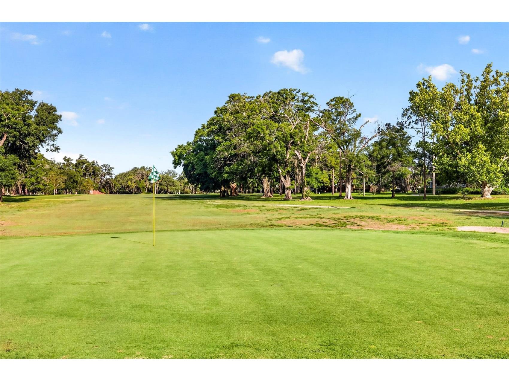 11004 Theresa Arbor Drive Temple Terrace FL 33617 TB8510376 image72