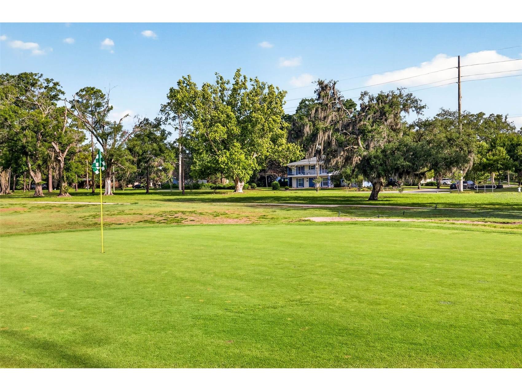 11004 Theresa Arbor Drive Temple Terrace FL 33617 TB8510376 image73