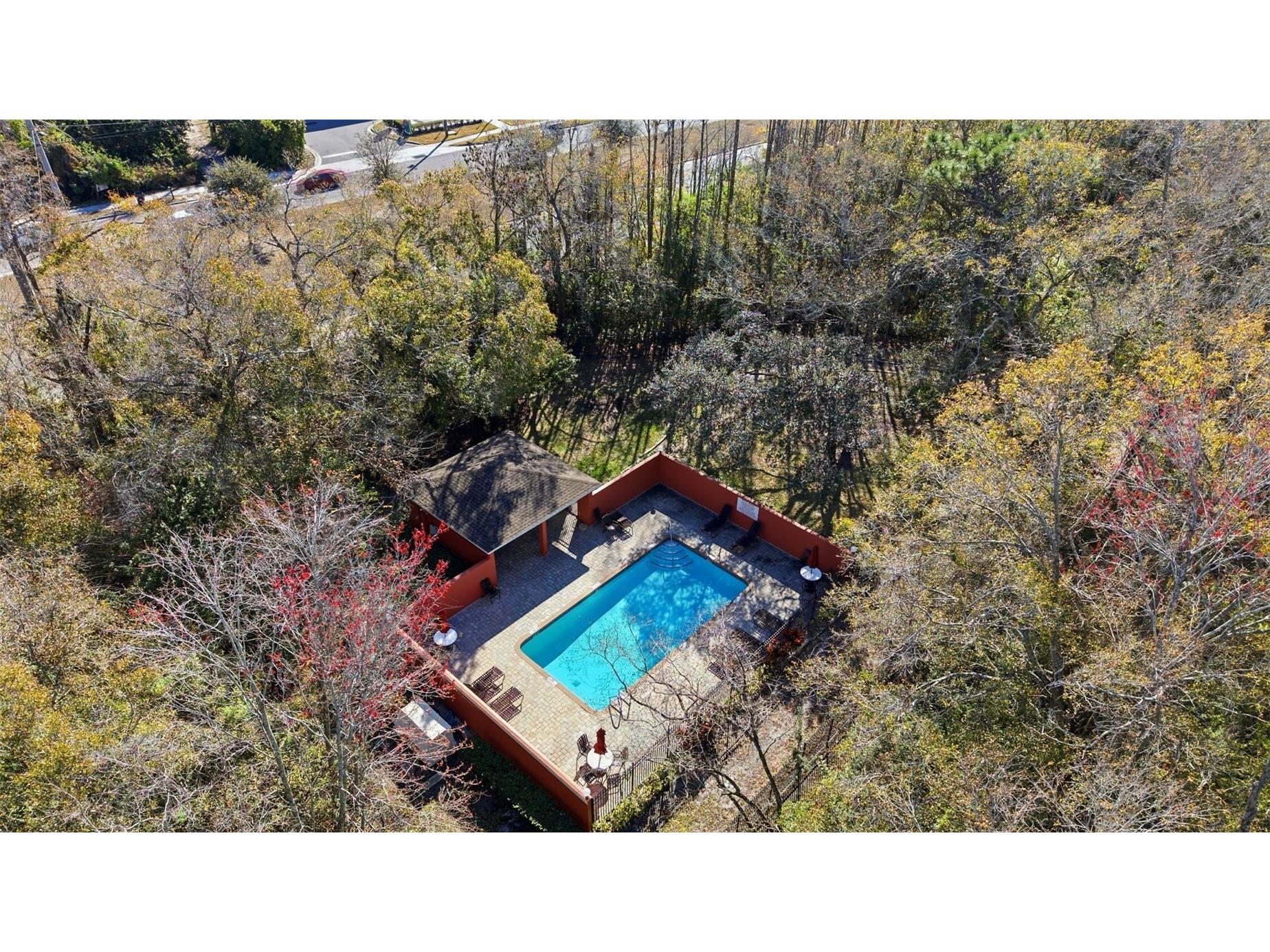 11005 Blaine Top Place Tampa FL 33626 TB8475538 image54