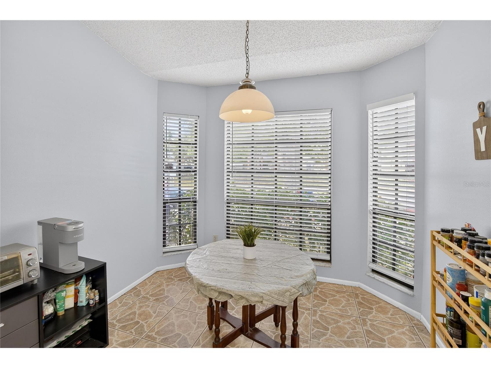11005 Kenbrook Drive Riverview FL 33578 TB8438774 image11