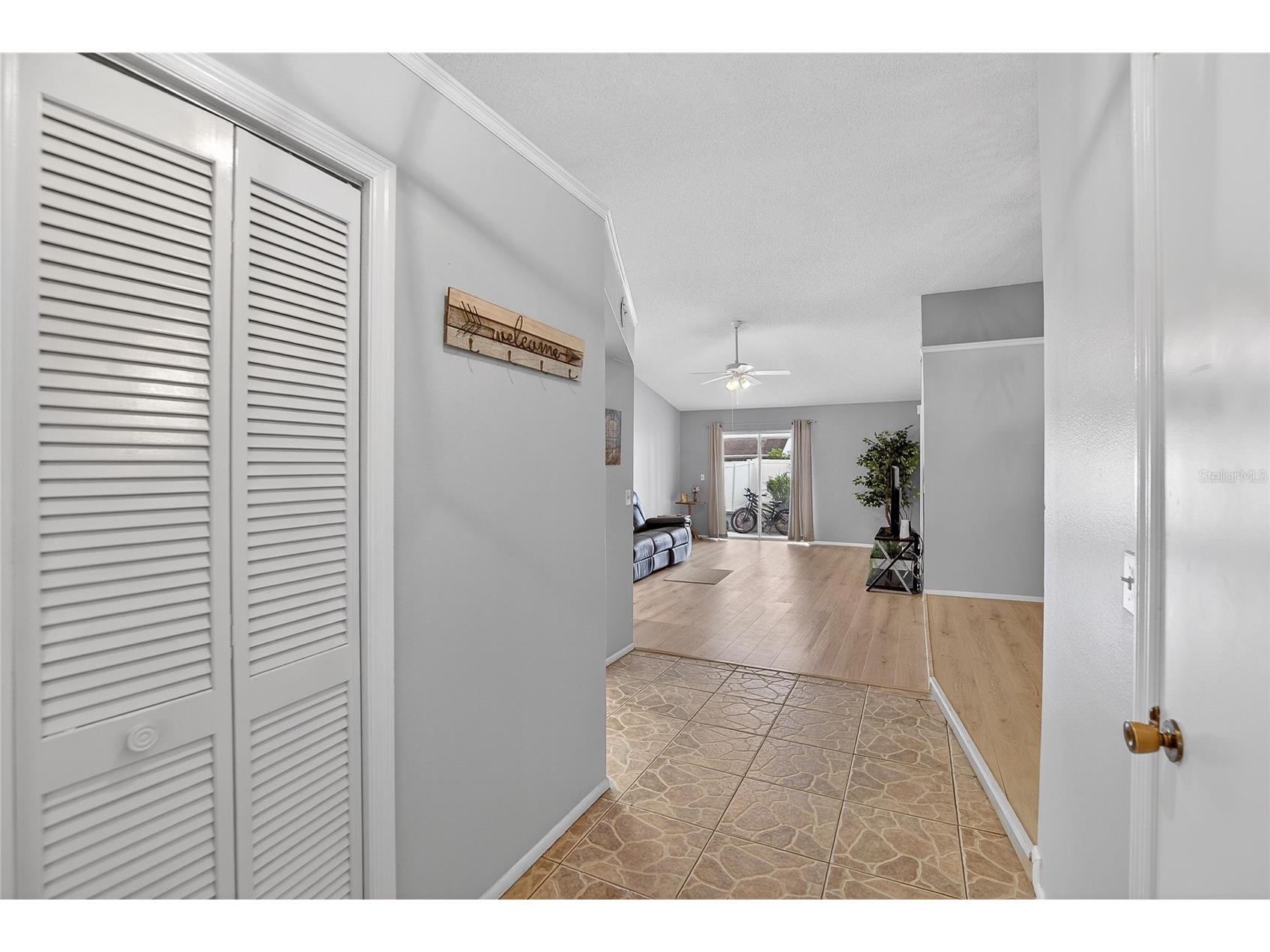 11005 Kenbrook Drive Riverview FL 33578 TB8438774 image33