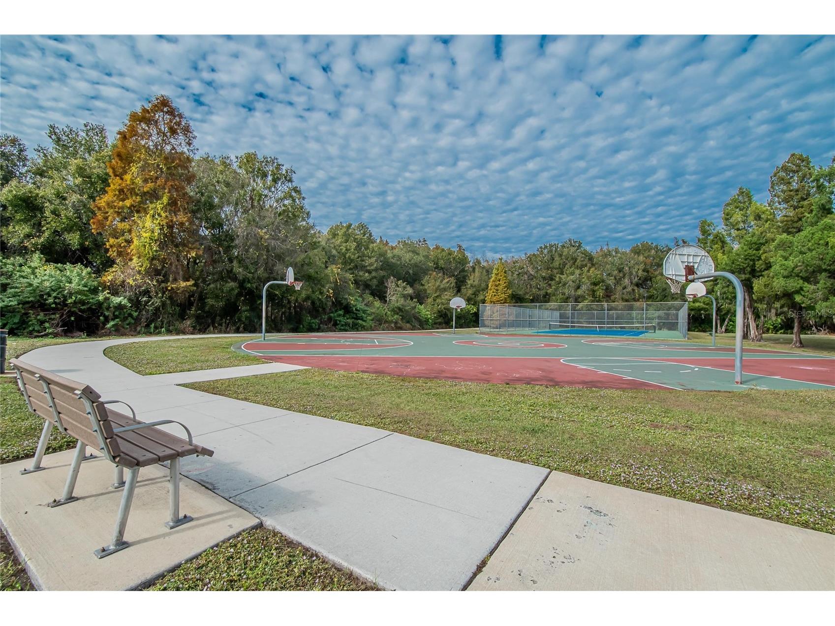 11005 Kenbrook Drive Riverview FL 33578 TB8438774 image64