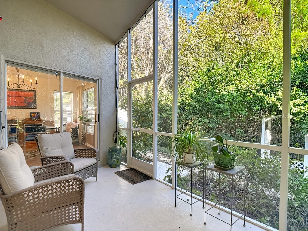 11005 Millbury Court New Port Richey FL 34654 W7880480 image54