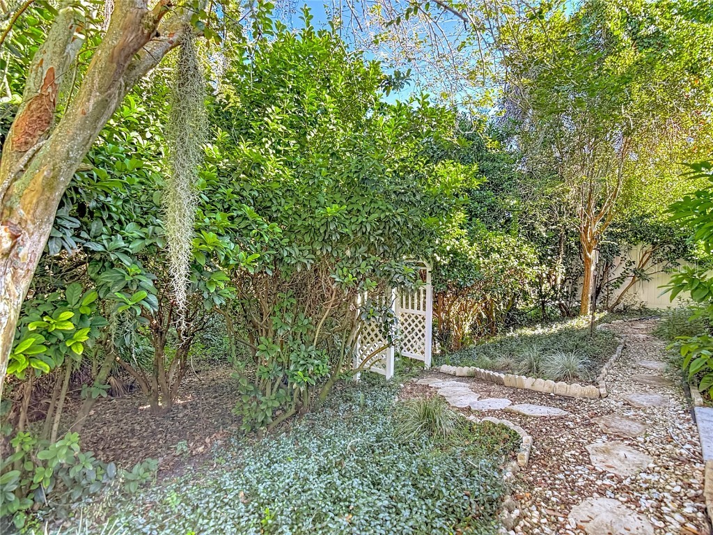 11005 Millbury Court New Port Richey FL 34654 W7880480 image61