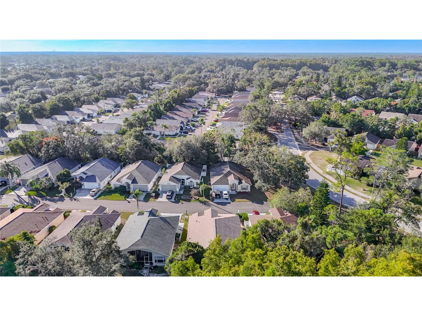 11005 Millbury Court New Port Richey FL 34654 W7880480 image64