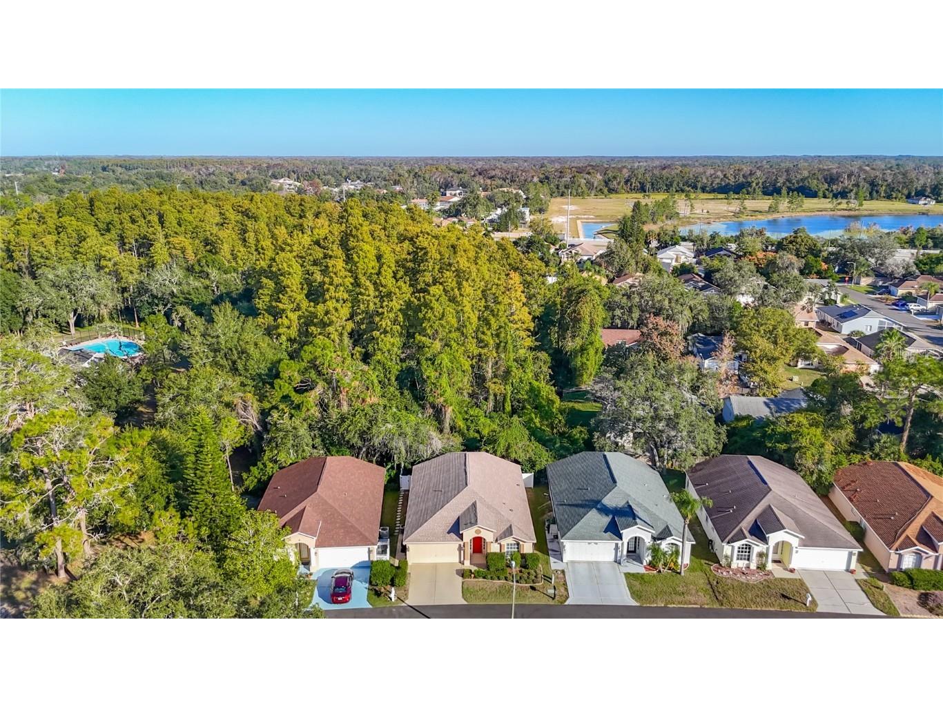 11005 Millbury Court New Port Richey FL 34654 W7880480 image65