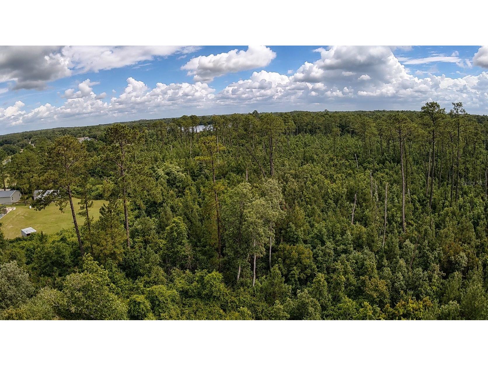 11005 SE 165th Terrace Road Ocklawaha FL 32179 OM726499 image16