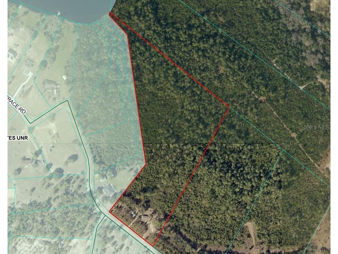 11005 SE 165th Terrace Road Ocklawaha FL 32179 OM726499 image25