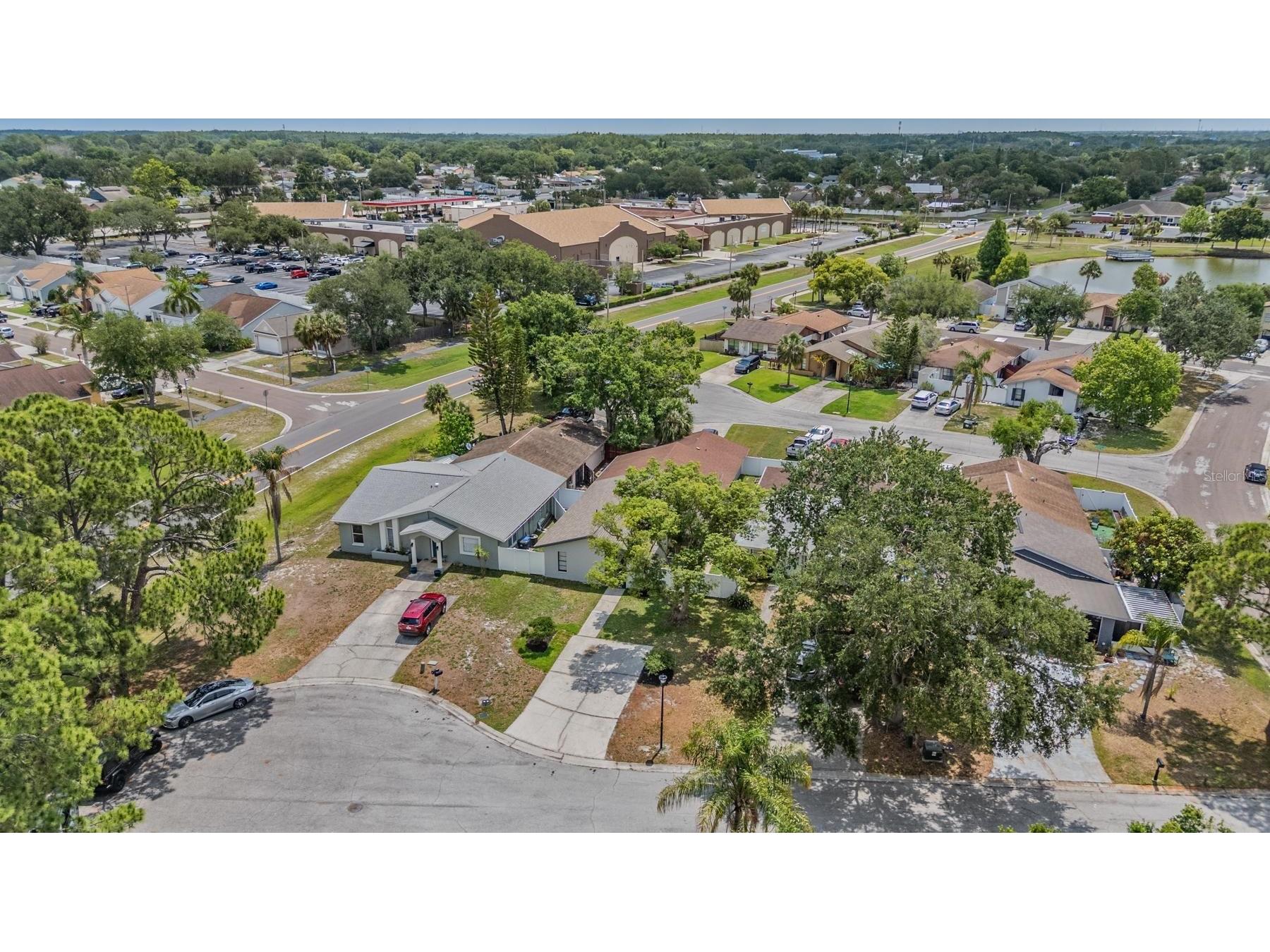 11005 Underwood Place Tampa FL 33624 TB8506520 image42