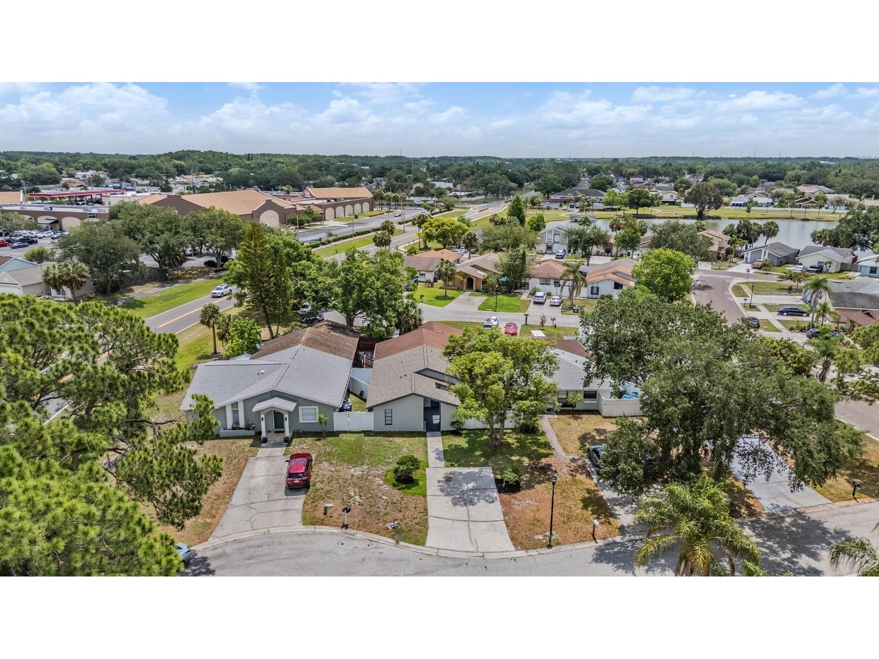 11005 Underwood Place Tampa FL 33624 TB8506520 image43