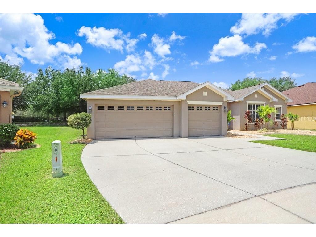 11005 Wildcat Drive Riverview FL 33579 T3546828 image1